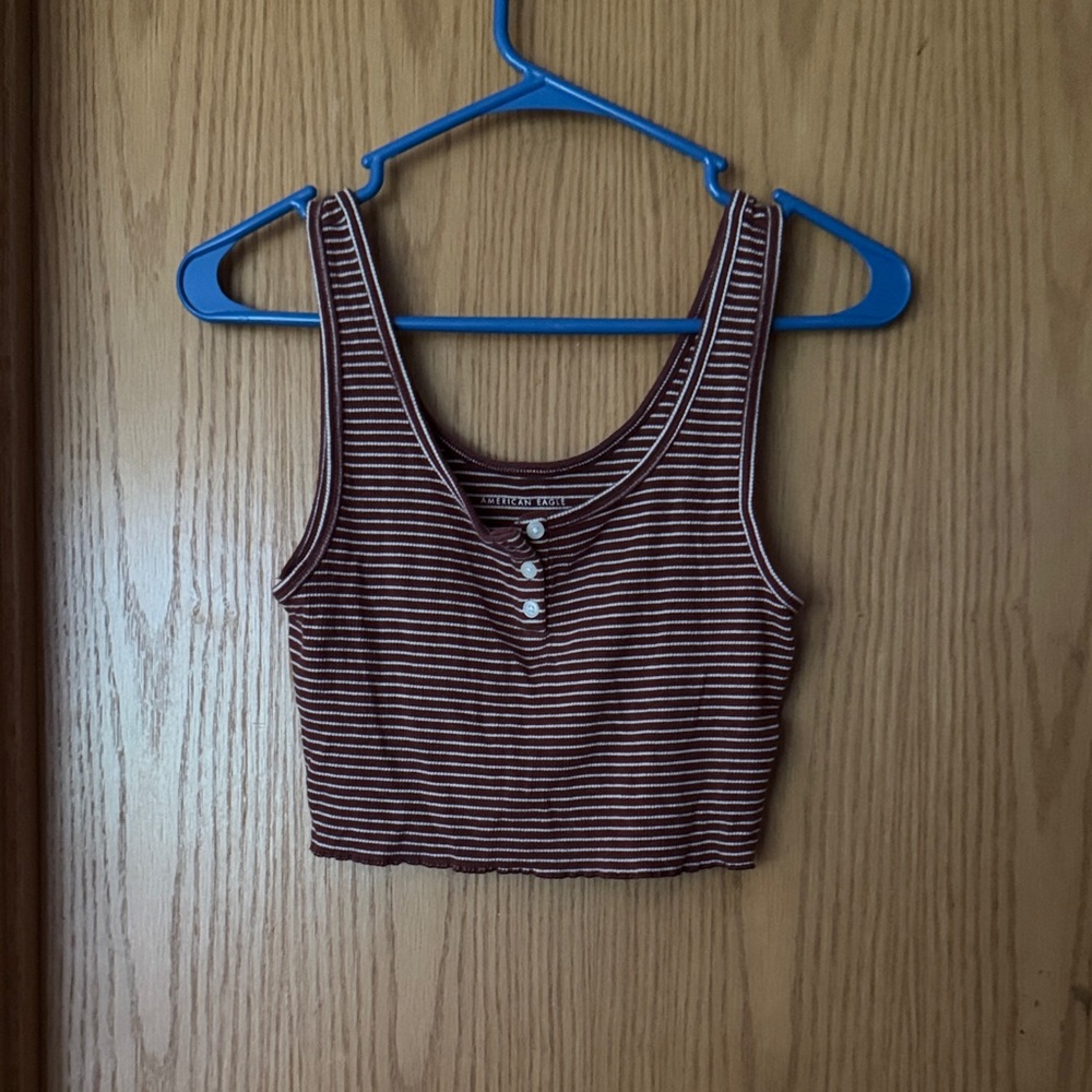 American Eagle Outfitters Brown and White Striped Crop Top